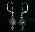 Ammonite, Bloodstone - Necklace & Earring Set #5218-1